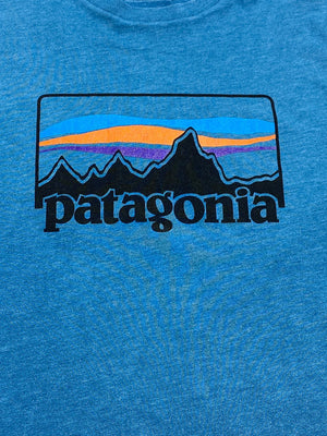 Blue Patagonia Logo T-shirt Women's Large