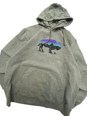 Grey Patagonia Hoodie Men's Large