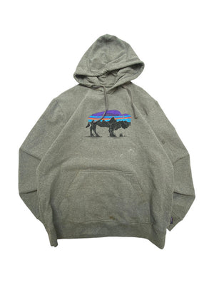 Grey Patagonia Hoodie Men's Large