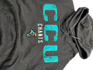 Grey Jansport Badge Hoodie Men's XL