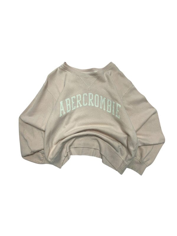 Pink Abercrombie & Fitch Sweatshirt Men's XS Northern Pole Vintage Wholesale 